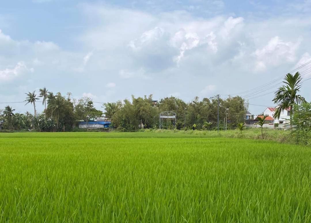 Eden Hoi An Villas المظهر الخارجي الصورة